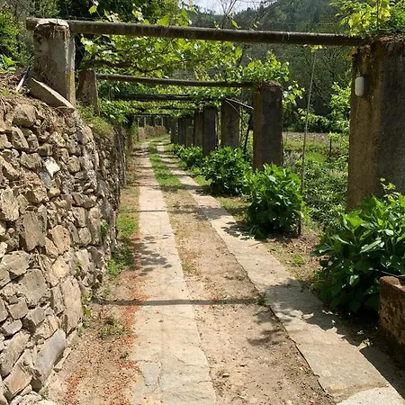 Vecchio Mulino Fontona Ortensia Chiesanuova (Liguria)