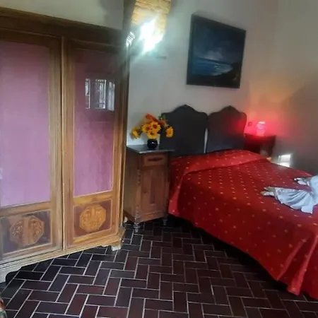 Vecchio Mulino Fontona Ortensia *