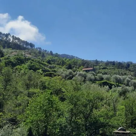 Affittacamere Vecchio Mulino Fontona Ortensia