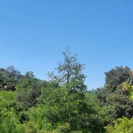 Affittacamere Vecchio Mulino Fontona Ortensia Chiesanuova (Liguria)