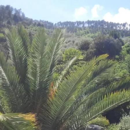Affittacamere Vecchio Mulino Fontona Ortensia Chiesanuova (Liguria)