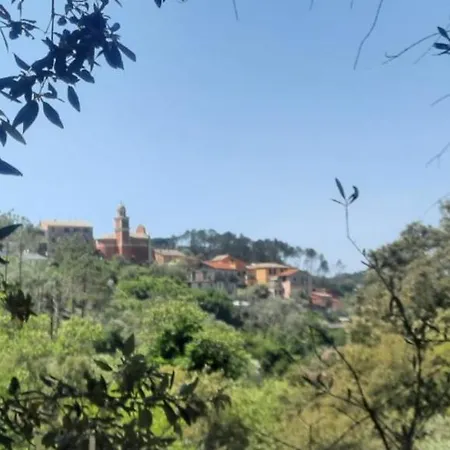 Vecchio Mulino Fontona Ortensia Affittacamere