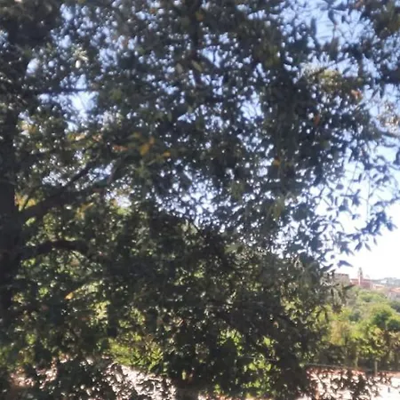 Affittacamere Vecchio Mulino Fontona Ortensia Chiesanuova (Liguria)