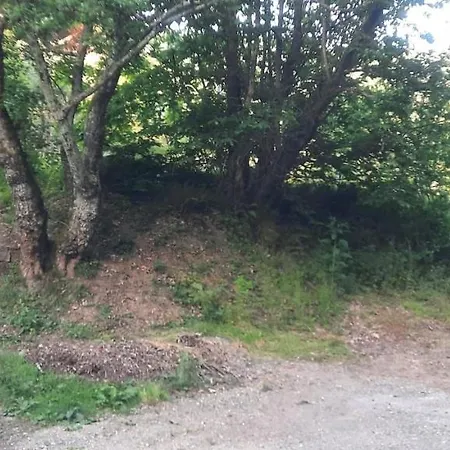 Affittacamere Vecchio Mulino Fontona Ortensia *