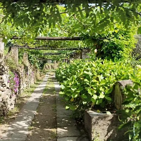 בית הארחה Vecchio Mulino Fontona Ortensia