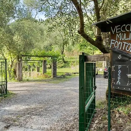 Vecchio Mulino Fontona Ortensia