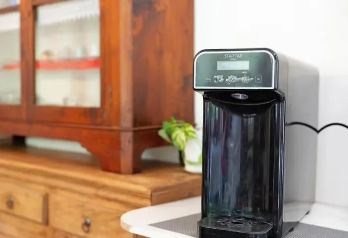 Vecchio Mulino Fontona Ortensia