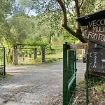Vecchio Mulino Fontona Ortensia