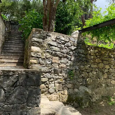 Vecchio Mulino Fontona Ortensia Guest house