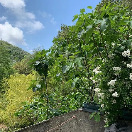 Vecchio Mulino Fontona Ortensia Chiesanuova (Liguria)