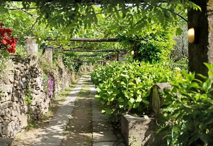 Guest house Vecchio Mulino Fontona Ortensia